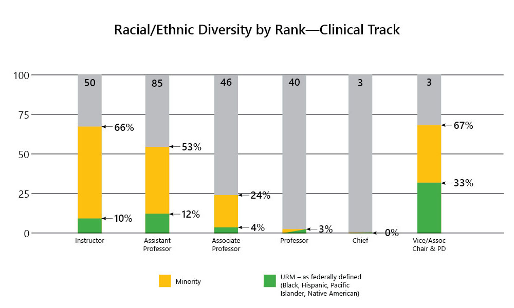 4-Racial Ethnic Diversity by Rank-All Faculty-Clinical Track