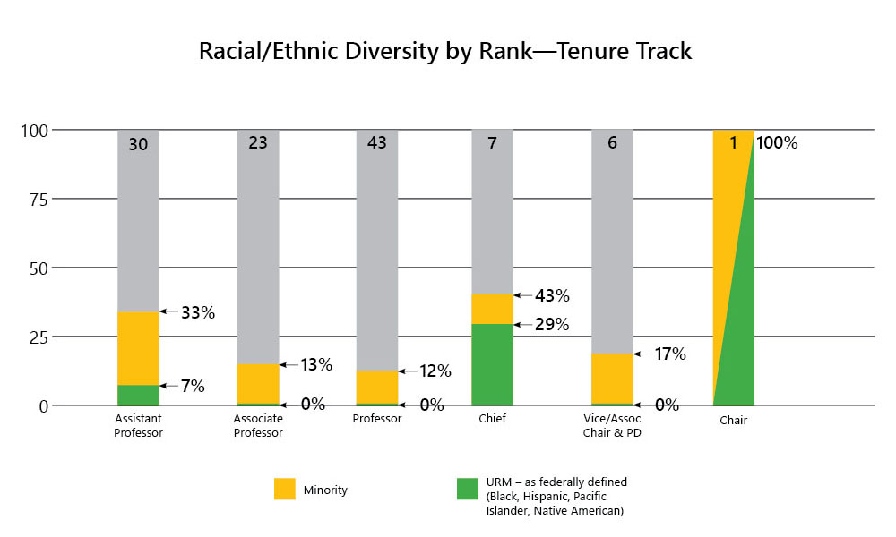 5-Racial Ethnic Diversity by Rank-All Faculty-Tenure Track